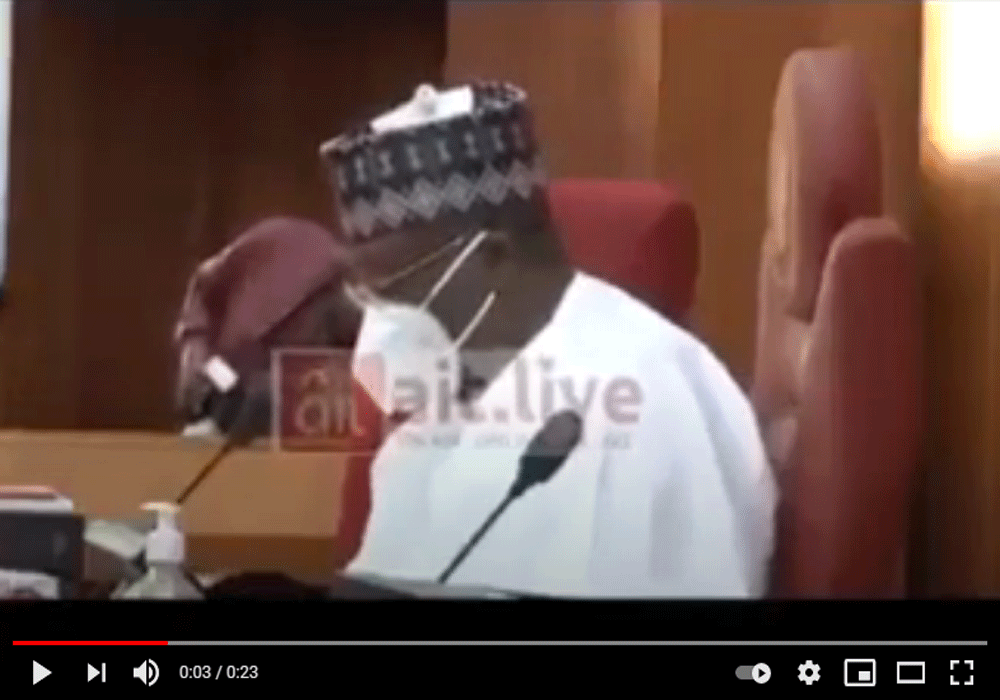The moment Laureta Onochie was rejected by a unanimous voice vote of the Nigerian Senate