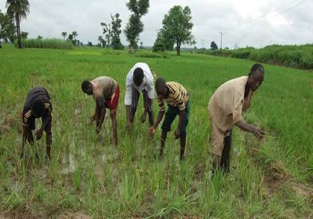 2022: Farmers’ Association boosts Ogunbiyi’s support with 5,000 members