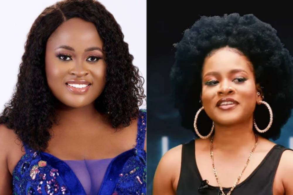 BBNaija S7: Amaka, Phyna reunite after fight