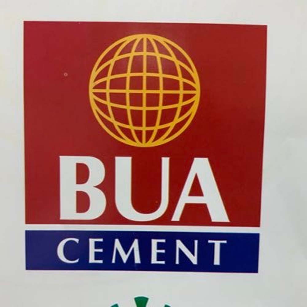 Shareholders of BUA Cement get N2.60k DPS