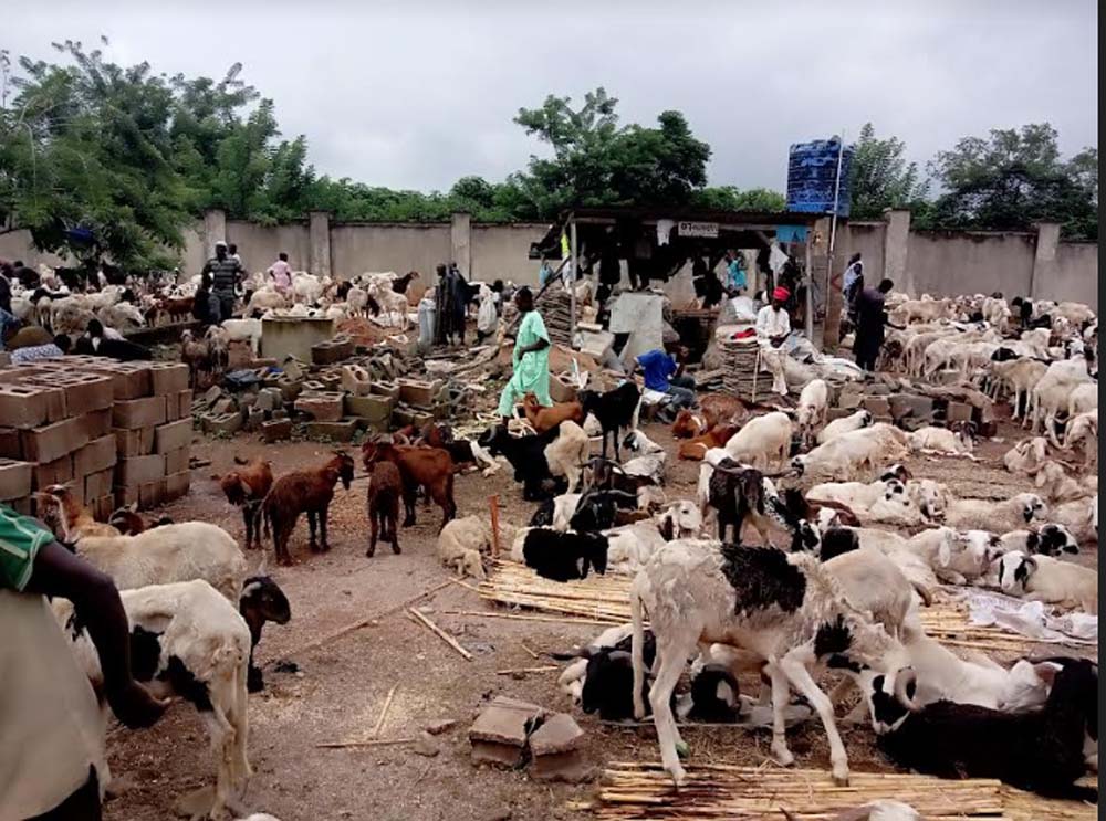 Eid-el-Kabir: Traders groan over price hikes