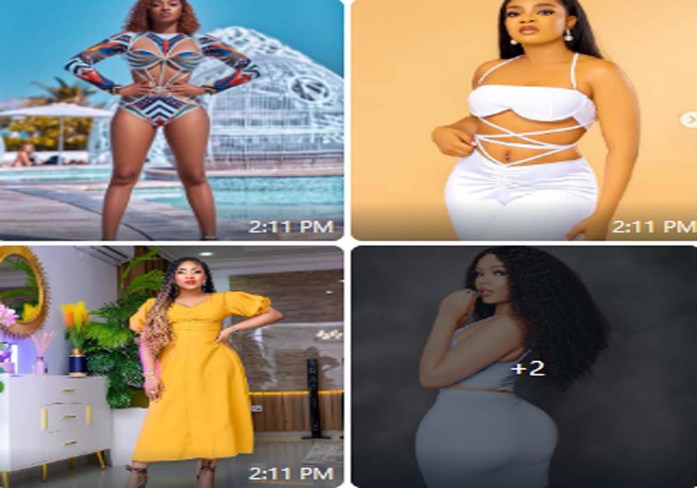 BBNaija: 5 ex-beauty queens that have appeared on the show