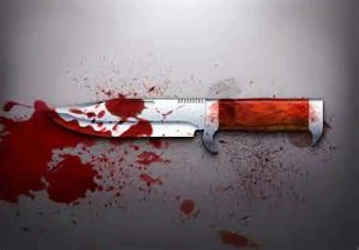 Lesbian Lover Stabs Partner’s Husband to Death