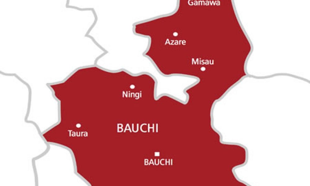 Police Arrest 12-Old-Boy For Alleged Kidnapping Of 3-Year-Old Girl In Bauchi