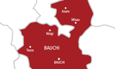 Bauchi Road Crash Claims Six, Two Survive