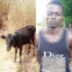 Police Arrest Ebonyi Man While Presenting Stolen Cow For Father-In-Law’s Burial Rites