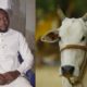 Christmas Cow Kills Newly Married Couple In Bayelsa State