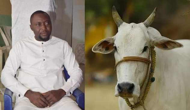 Christmas Cow Kills Newly Married Couple In Bayelsa State