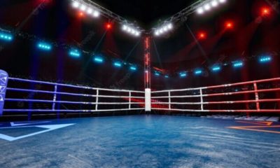 Nigerian Boxer Slumps, Dies Inside Ring At National Sports Festival