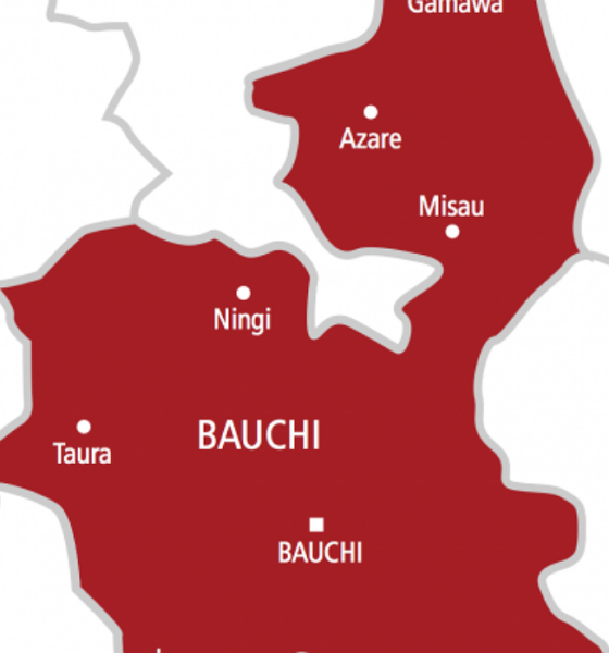 Bauchi Police Kill 12 Alleged Bandits