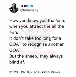 Mike Bamiloye Tackles Tems After Tagging Herself "GOAT"
