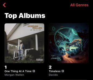 Davido’s 'Timeless' Tops Apple Music Chart 
