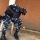 Video: Police Officer Caught Sleeping At Polling Unit