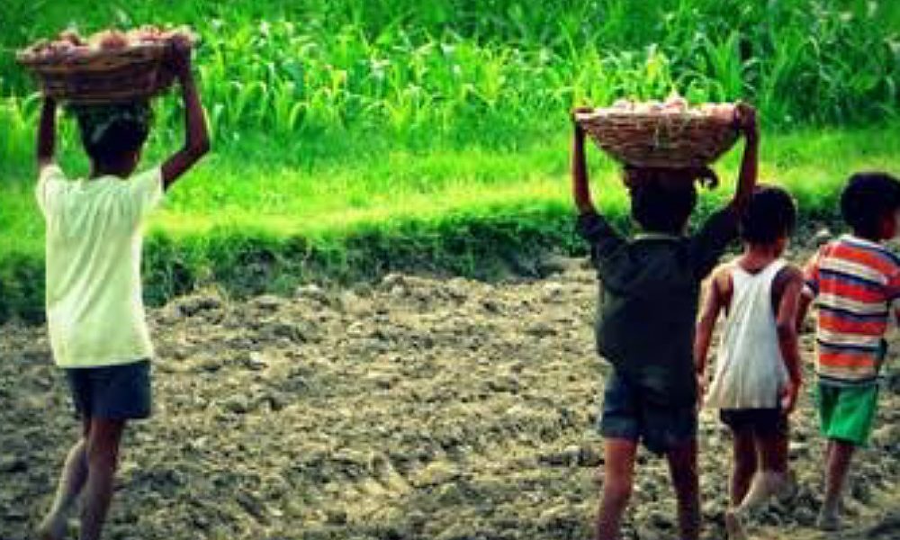 15m Kids Forced Into Child's Labor Globally, Says FG