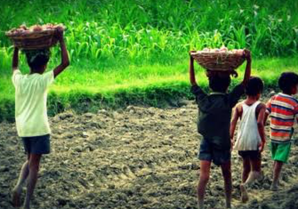 15m Kids Forced Into Child's Labor Globally, Says FG