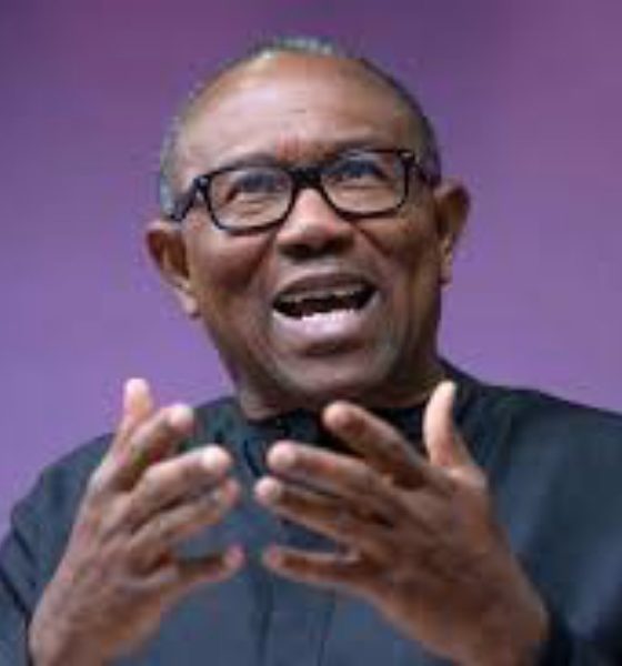 Peter Obi Condemns Incessant Killing Plaguing The Country, Calls For Action