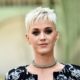 Katty Perry Loses Trademark Battle With Fashion Designer