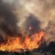 Europe Fires: Countries Hit By Wildfires In Past Weeks