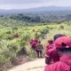 Bandit Onslaught Forces Villagers To Flee As Amotekun Struggles In Ondo